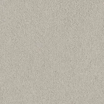 Draufsicht Girloon TWIN Teppichboden Velours 845 Greige, 2/4 m breit